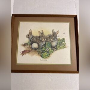Jim Oliver "Eastern Cottontail" Print, Signed Framed Plate Number 24 Vintage